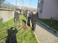 Anadolu Lisesi’nde çevre düzeni