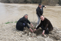 Alifuatpaşa'da Sakarya Nehri Kıyısına Fidan Dikildi