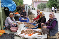 Ekmeğini Cevizden Çıkarıyor